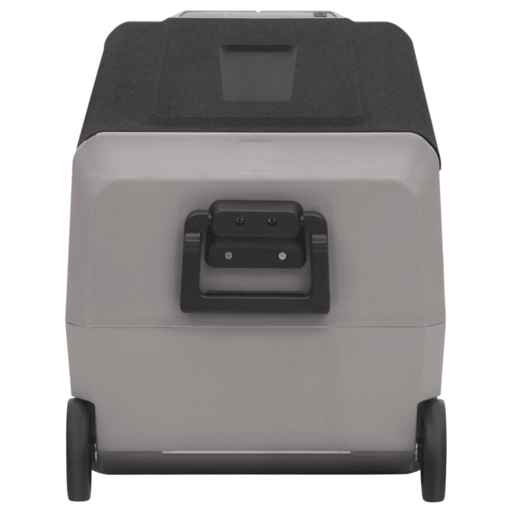 Kühlbox mit Rollen und Adapter Schwarz & Grau 36 L PP & PE