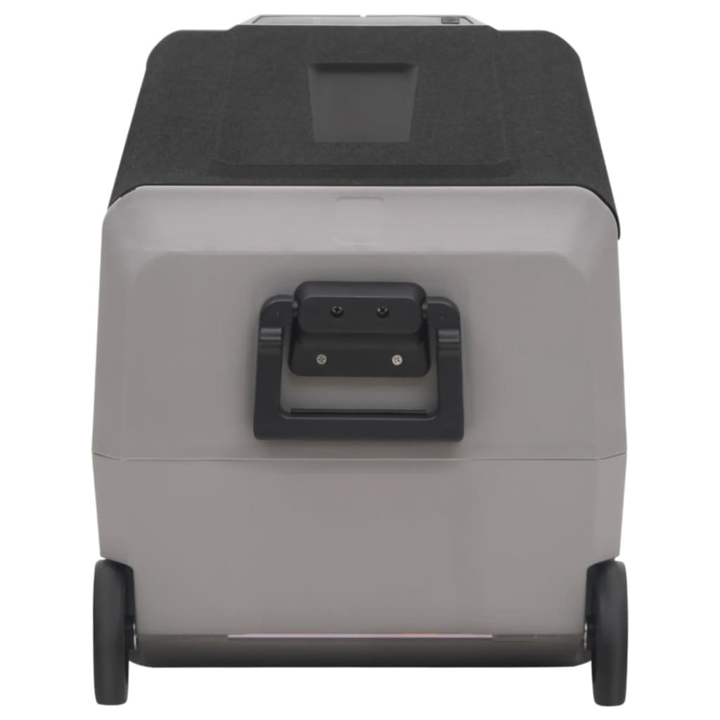 Kühlbox mit Rollen und Adapter Schwarz & Grau 60 L PP & PE