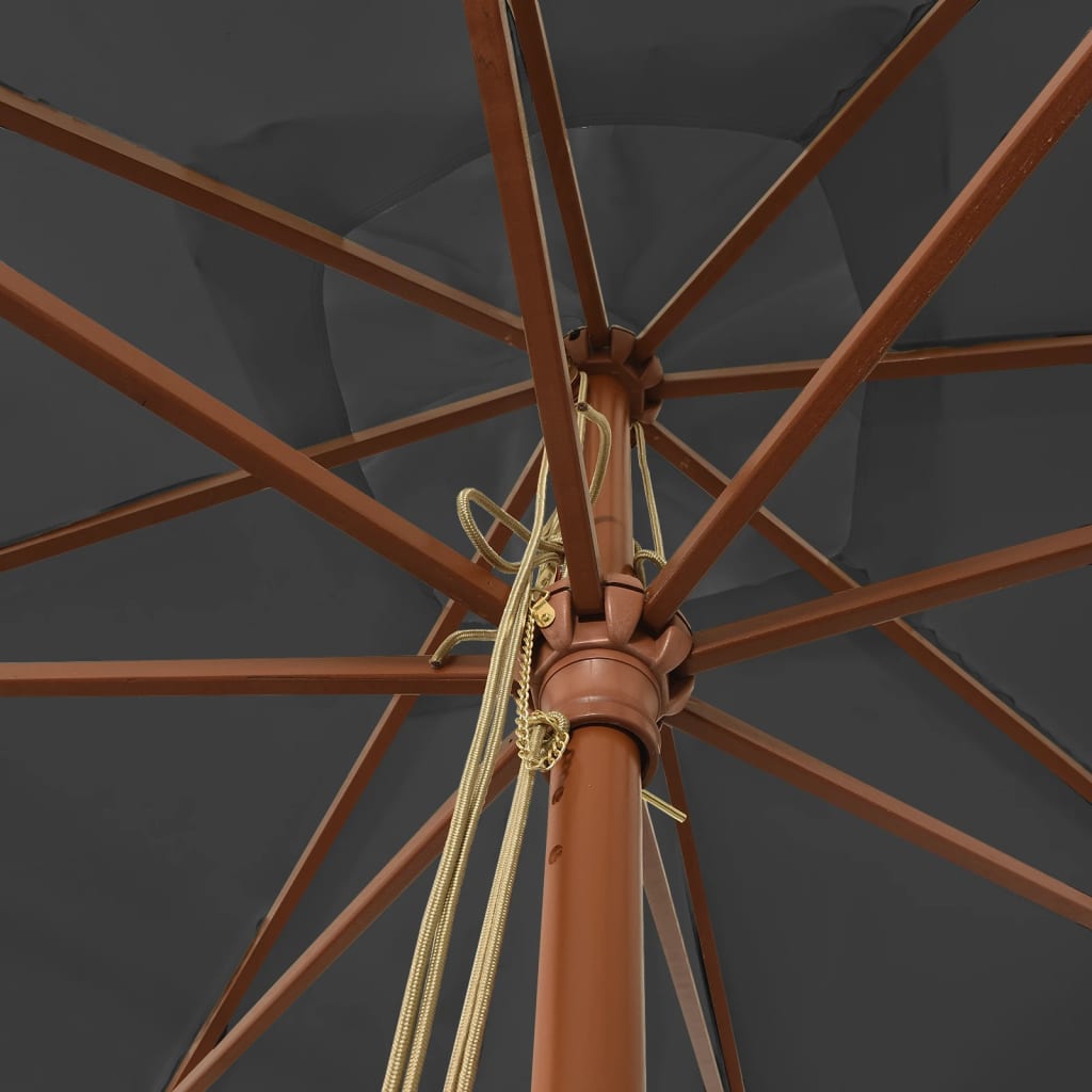 Sonnenschirm mit Holzmast Anthrazit 300x300x273 cm