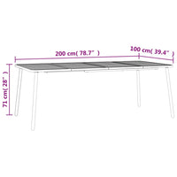 Thumbnail for Gartentisch Anthrazit 200x100x71 cm Stahl