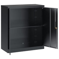 Thumbnail for Aktenschrank Anthrazit 79x40x90 cm Stahl