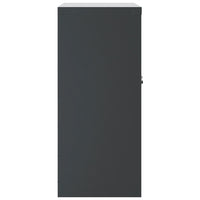 Thumbnail for Aktenschrank Anthrazit 79x40x90 cm Stahl
