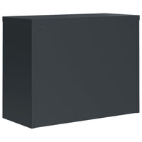 Thumbnail for Aktenschrank Anthrazit 90x40x110 cm Stahl